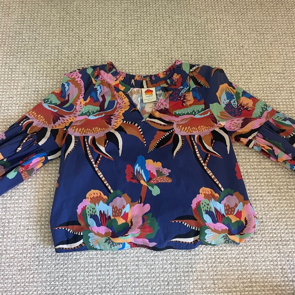 FARM Rio Blue and Pink Floral Blouse Peasant Style